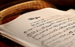 野玫瑰吉他譜，野玫瑰吉他譜完整版