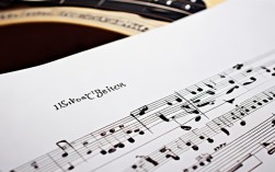 花心指彈吉他譜，花心指彈吉他譜c調